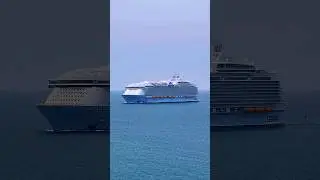 Welcome Utopia of the Seas! #shorts #utopiaoftheseas #royalcaribbean #royalcaribbeancruises