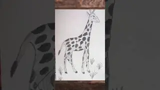 Learn to Draw a Giraffe | Quick and Simple Sketch #PencilSketch #GiraffeArt #shorts