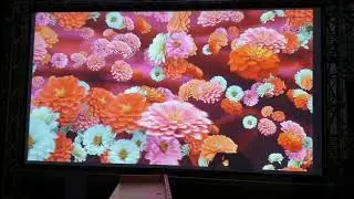 Экран для проектора 5000мм. х 2800мм.
