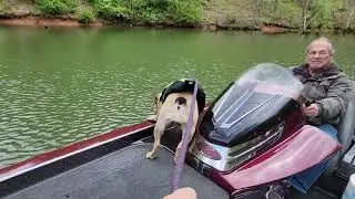 Laggy in her new life vest