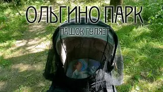 Ольгино Парк. Пашок гуляет.