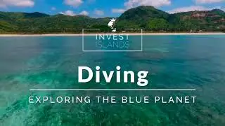 Diving in Lombok - Experience the Blue planet [2020]