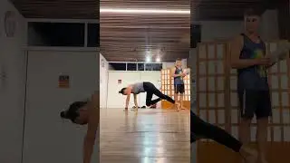 Animal Flow Level 2