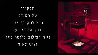 תהליך הדפסת תמונה בחדר חושך מעבדת צילום שחור לבן