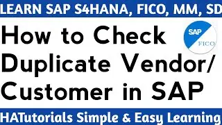 How to Check Duplicate Vendor or Customer in SAP | SAP Real Time Issue