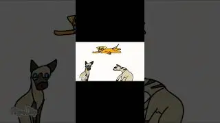 пока, я на атомы #возрадимрукв #котывоители