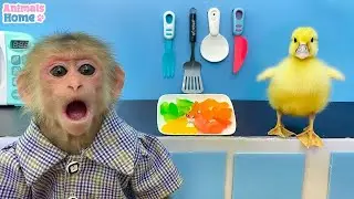 BiBi obedient make jelly for duckling