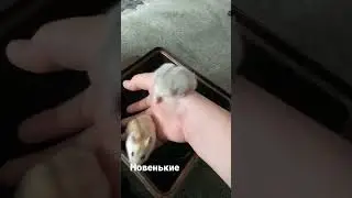 6 ноября 2022 г.