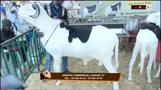 FOIRE REIT 2023 BERG MAME FALLOU 77 161 08 08