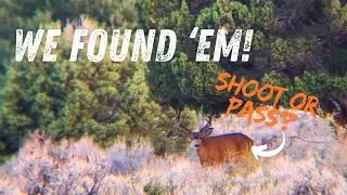 Where The Giant Bucks Are! | New Spot Pays Off! | Mule Deer Scouting in Utah Pt. 3!