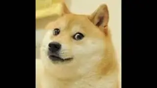 New sound you will sometimes hear in my videos