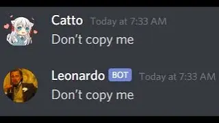 That one guy repeating everything on discord