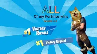 ALL FORTNITE WINS (so far)