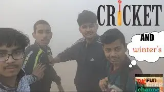 Cricket in Winter