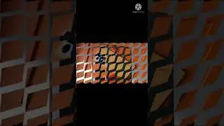 oppo f21 pro launching in 2022