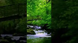 Comin' Thro' the Rye 호밀밭을 지나서