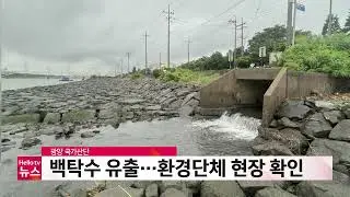 광양 국가산단서 백탁수 유출…환경단체 현장 확인