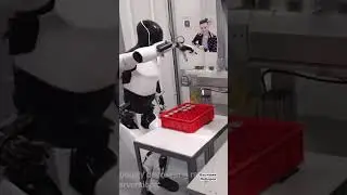 Роботы Tesla стажируются на заводах 🤖