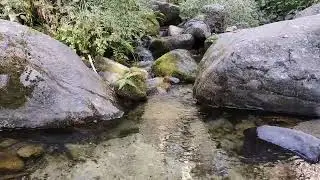 Espectacular sonido del Río [] El relajante sonido del cantar de los pájaros [] Birds singing