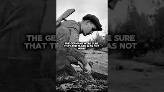 What insidious plan came up with partisans against the Germans