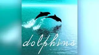 FREE HI HAT MIDI KIT - Dolphins (Wheezy, Pyrex Whippa, Southside)