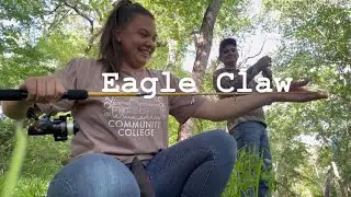 Can This Eagle Claw Still Catch White Bass? 🎣 Missouri