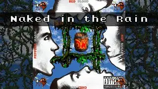 RHCP - Naked in the Rain (Donkey Kong Country Soundfont)