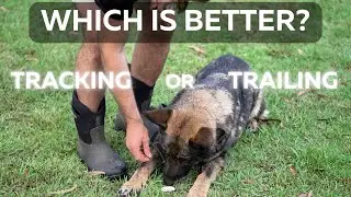Tracking Vs Trailing: Which is Better?