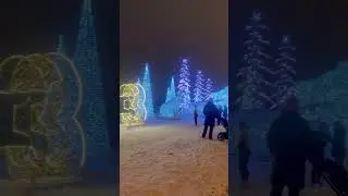 С наступающим Новым годом 2023  годом , прогулка дедом морозом