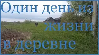 Один день из жизни в деревне