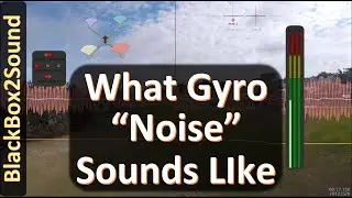 What is Gryo 