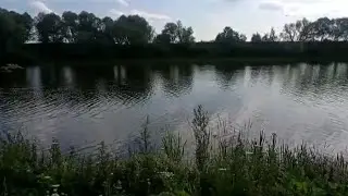 Пять минут на речке😜Поля забыла купальник🤪
