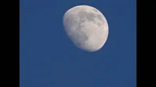ЧТО НЕ ТАК С ЭТИМ МИРОМ?