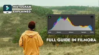 Filmora Histogram explained (this will improve your color grading skills)