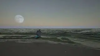 The power of Unreal Engine. The Cat swimming in the sea 