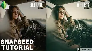 Best Vintage Color Grading | HDR | Snapseed Photo Editing  | Tutorial | 2020