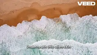 A song for the new stitch movie