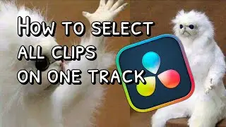 How to select all clips on one track in DaVinci Resolve