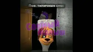 Пов: типичные сны: 