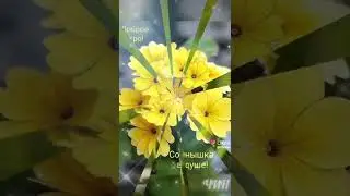 Доброе утро! Прекрасного и благословенного дня!
