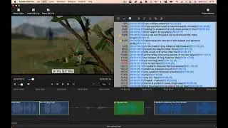 How To Translate Subtitles To Another Language in Subtitle Edit Pro