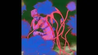 Chikiss - Keep this Song