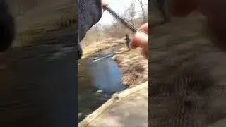 can't wait to catch more trout #fishing #like #outdoors #trending #fish #iowa #troutfishing