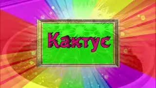 Кактус