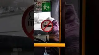 Поездка на автобусе маршрут 45 (Ферма-2-Ж.М Су Анасы) // Г.Казань (Часть 1)