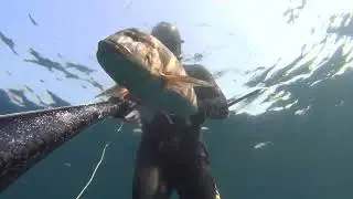 Spearfishing Dentex 6,70 Kg