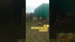 zapal vidyo  ex yoshlar