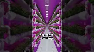 Innovative Agriculture :Vertical Farming Tower #futuretech #agtech #agri #agriculture #viral #shorts