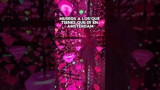 3 Museos a los que tienes que ir en Amsterdam #amsterdam #viajes #museo