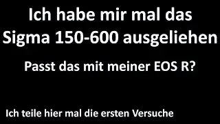 ich teste das sigma 150 600